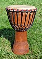 West African djembe