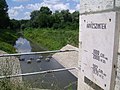 Flood levels at Mindszent (Hungary)