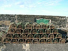 Lobster pots stand on top of each other, in four rows of 6, 7, 8 and 9, respectively. Each has a wooden base and a metal hoop at either end and a crossbar, which collectively hold up a cover of netting.