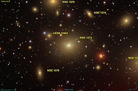 Image illustrative de l’article NGC 1275