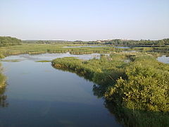 Naturreservat ved Tetijiv