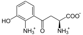 Hydroxykynurenin