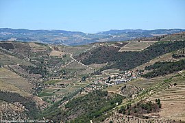 Balsa do Douro - Portugal (35557161454).jpg