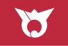 Flag of Haebaru