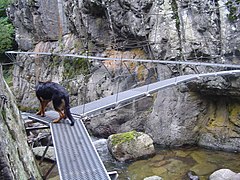 Passerelle en métal traversant un torrent puis longeant une falaise. Un chien sur la passerelle.