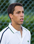 Tristan Lamasine 1, 2015 Wimbledon Qualifying - Diliff.jpg