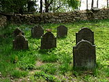 Čeština: Náhrobky na židovském hřbitově u vsi Olšany v okrese Jindřichův Hradec, Jihočeský kraj. English: Gravestones in the Jewish cemetery by the village of Olšany, Jindřichův Hradec District, South Bohemian Region, Czech Republic.