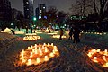 Snow lights in the park