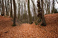 Weg durch den Wall der Vorburg im Norden