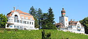 Villa Schmidheiny (links) und Schloss Heerbrugg umgeben von Reben