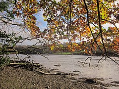 Bow Creek - geograph.org.uk - 4272354.jpg