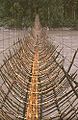 Bridge over river Siang, Arunachal Pradesh