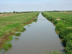 Нижнее течение реки летом 2006 года.