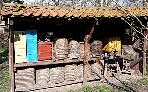 Bienenstand