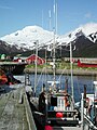 Gillnetters at Peter Pan dock, False Pass, AK.