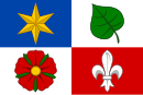 Drapeau de Plasy