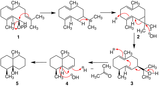 Biosynthese von Geosmin