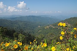 Huai Nam Dang National Park, Thailand.jpg