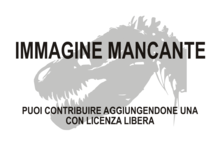 Immagine di Planicoxa venenica mancante