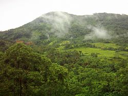 Panorama Pegunungan Meratus dari Bajuin