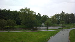 Lammikko puistossa Svalövissä.