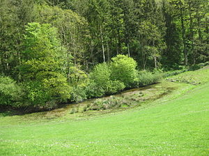 Sycharth, Looking from inner bank to Medieval fishpond.
