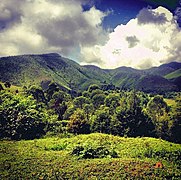 The hills of Kilungutwe village.jpg