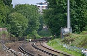 Green verges beside the track into West Brompton station, adjacent to Brompton Cemetery