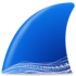 Description de l'image Wireshark icon new.png.