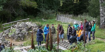 Im Alpengarten Viote …