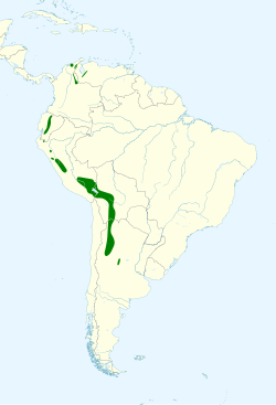 Distribución geográfica del canastero de Wyatt.