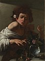 『トカゲに噛まれた少年』（1594年 - 1596年頃） ロベルト・ロンギ財団（フィレンツェ）