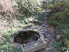 Garden pond at Planting Fields Arboretum in 2016