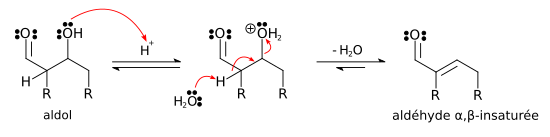 Mécanisme de la crotonisation (condensation) d'un aldol en catalyse acide.