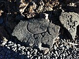 Hawaiian petroglyph depicting a poi dog (ʻīlio)