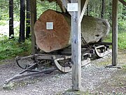 Holzknechtmuseum Labau: Transportschlitten