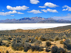 Laguna de Salinas