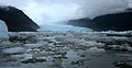 Ghiacciaio che sbocca sulla laguna San Rafael, Parco nazionale Laguna San Rafael, Regione di Aysén, Cile.