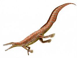 Mesosaurus