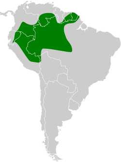 Distribución geográfica del picolezna colirrufo.