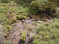 Water oozing from heath at source area of Murrumbidgee