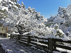 Ruhland, Grenzstr. 3, Garten im Winter 2022-23, 03.jpg