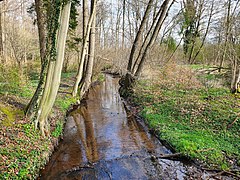 Rutenmühlenbach (Hahnenbach).jpg