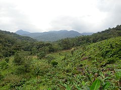 Saibadela - panoramio.jpg