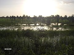 Estero, Llanos Bajos