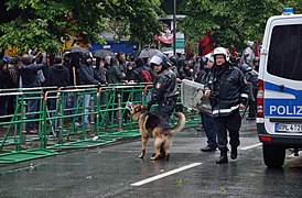 Blockupy 2013 Polizeihund.jpg