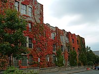 Cornell University