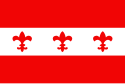 Vlag