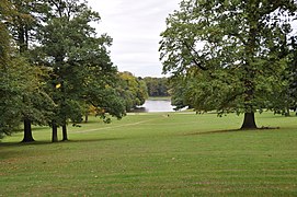 Bois de la Cambre