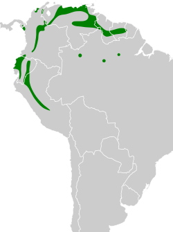 Distribución geográfica del mosquerito cabecigrís.